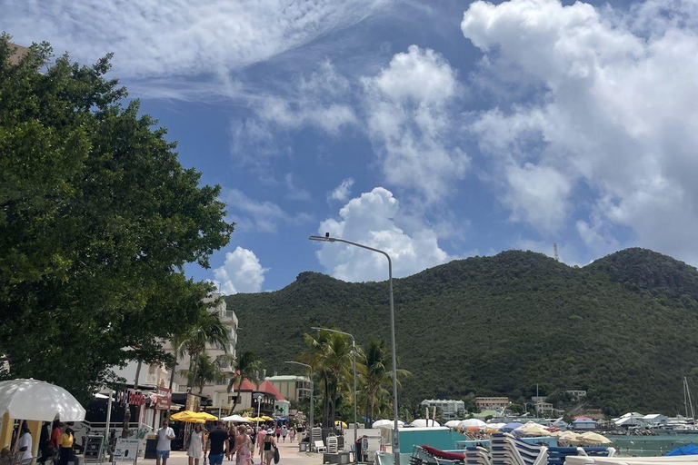 St. Maarten: Cruise Passenger Electric Bike Rental 6-Hour E-Bike