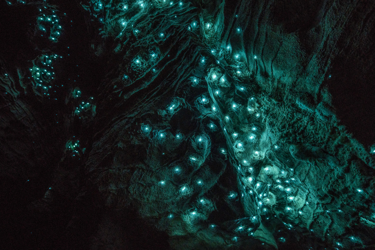 GROTTES DE RUAKURI ET JARDINS DE HAMILTON - Excursion d&#039;une journée au départ d&#039;AucklandGROTTES DE RUAKURI ET JARDINS HAMILTON - Excursion d&#039;une journée au départ d&#039;Auckland