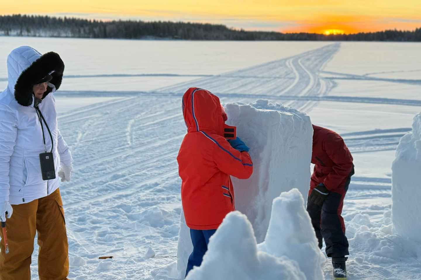 Levi: Villtaðferðardagsferð fyrir fjölskyldur með hótelafhendingu