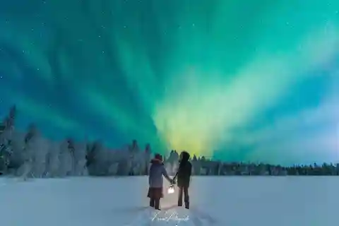 Rovaniemi: Aurora-jagt og fotograferingstur