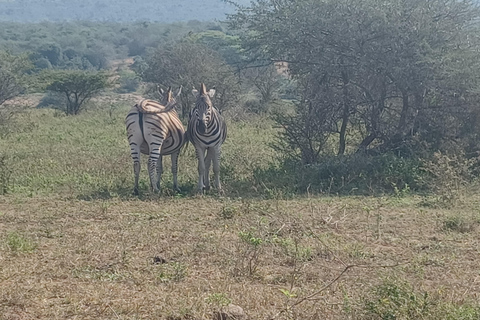 Safari di 3 giorni nel Parco Nazionale Kruger