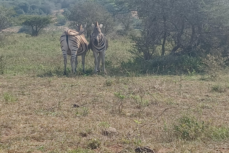 Safari di 3 giorni nel Parco Nazionale Kruger