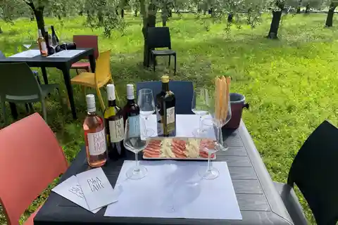 Guided tour of the winery with wine tasting