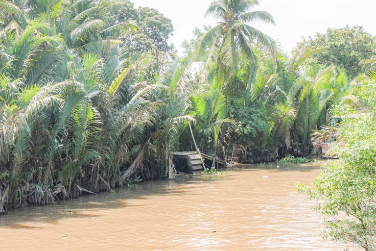 De Ho Chi Minh-Ville: excursion privée d'une journée dans le delta du Mékong