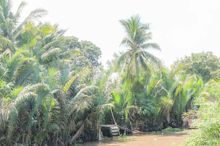 Desde Ho Chi Minh: tour privado de 1 día al delta del Mekong