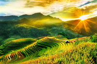 Full Day Tour in Sapa Trekking with Local guide - Housity