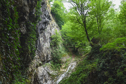 Shamakhi Gabala Giornata intera