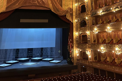 Buenos Aires: Teatro Colón Entry Ticket and Guided Tour Teatro Colón Ticket and Guided Tour in Portuguese