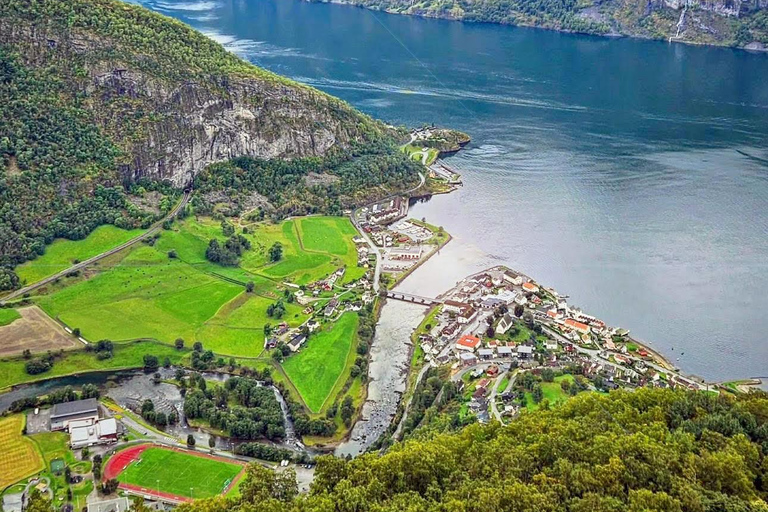 Tour guidato privato - Crociera sul Nærøyfjord e ferrovia di Flåm