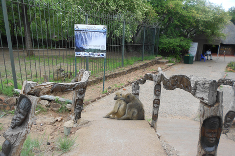 Experimenta las cataratas Victoria.Tour guiado a las cataratas Victoria