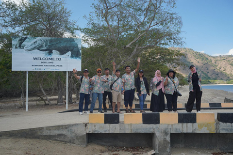 Labuan Bajo: Full-Day Komodo Speedboat Tour with Snorkeling