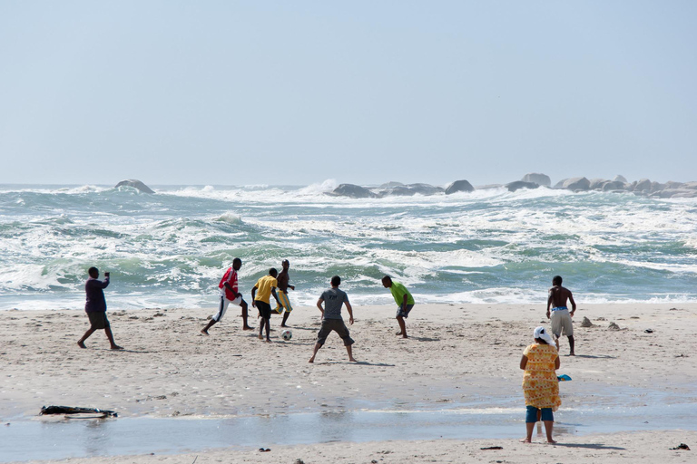 Cidade do Cabo: Excursão particular de 1 dia à Península do Cabo com guia local