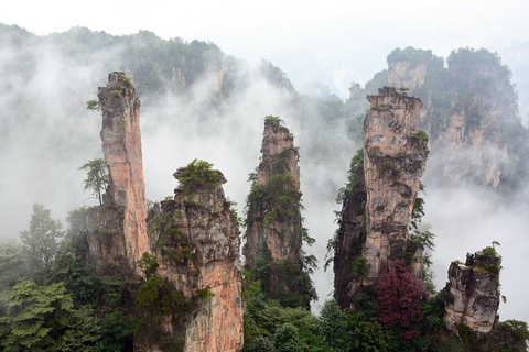 Zhangjiajie: tour privato di un giorno per esplorare la montagna Avatar