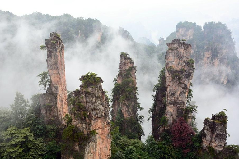 Zhangjiajie : visite privée d'une journée à la découverte de la montagne Avatar