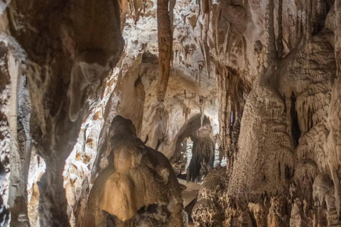 From Plitvice: Tour of Cerovac Caves & Nikola Tesla Museum