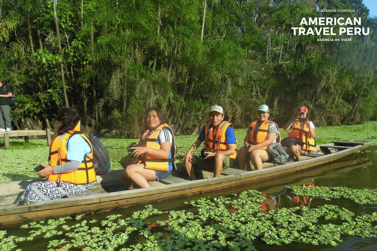 Iquitos: 3 dni, 2 noce w Amazon Lodge all inclusiveOdkrywanie dżungli Iquitos podczas wycieczki trwającej 3 dni i 2 noce