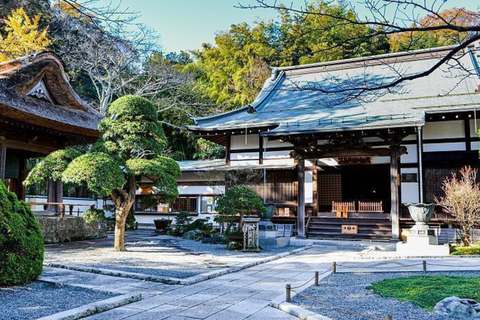From Tokyo: Kamakura Private Tour with Great Buddha & Bamboo