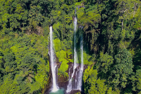 Bali : Explore north Bali costumised tour