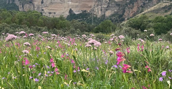 Ronda: Scenic Hike & Tajo Gorge Walk with Local Guide