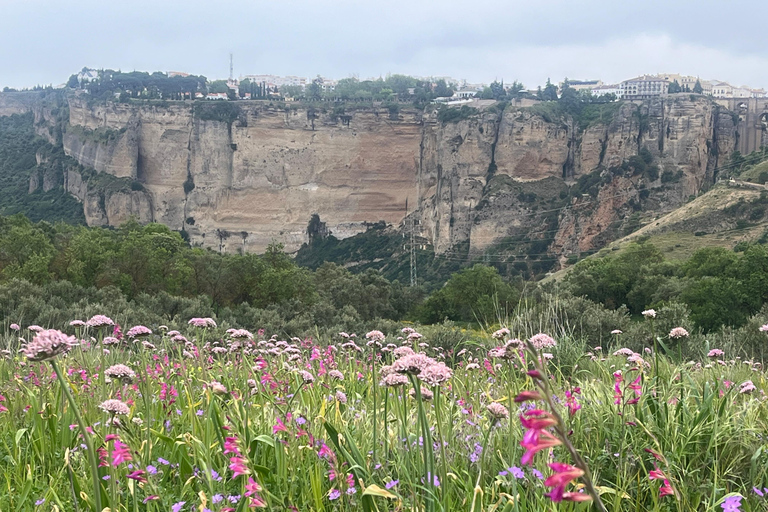 Ronda: Hiking with Local Guide