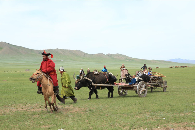 Ulaanbaatar: Nomadic Culture Show & Wild Horse Park Day Tour