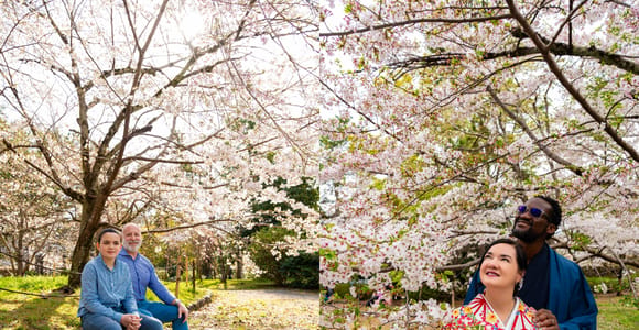 Kyoto: Private Cherry Blossom Photoshoot