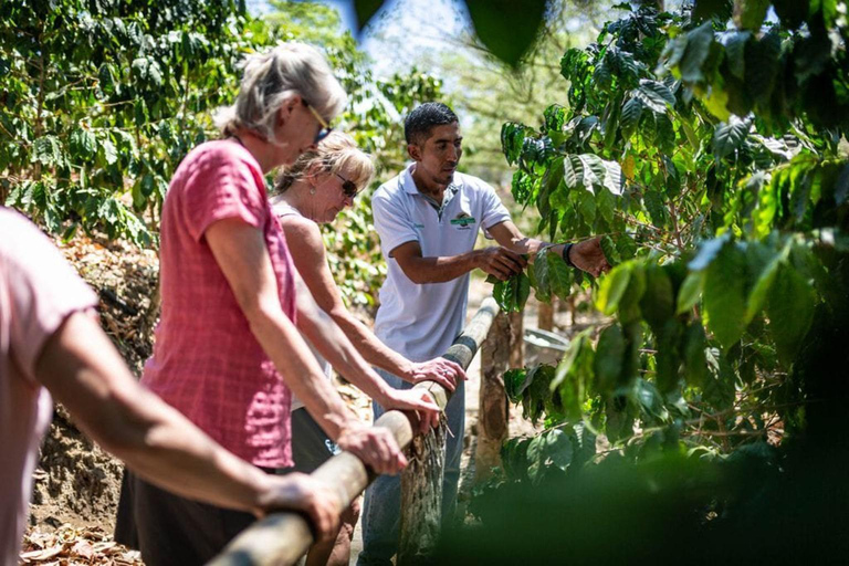 Excursión Safari desde Punta Cana