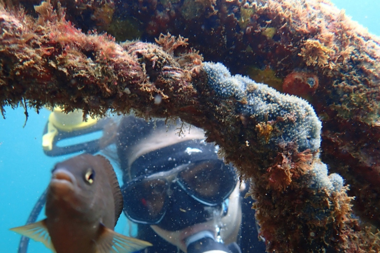 Dive in Corals at Porto da Barra Beach in Salvador-Bahia Beach diving in Corais