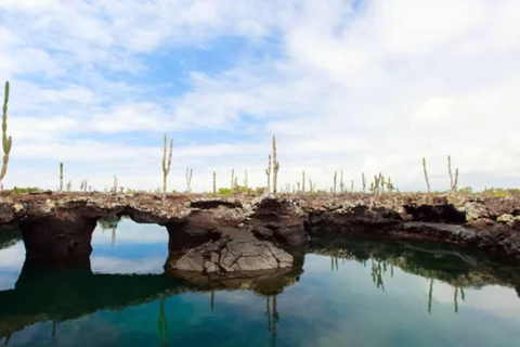 Galapagos Intensive 5 days, land base (3 Islands)