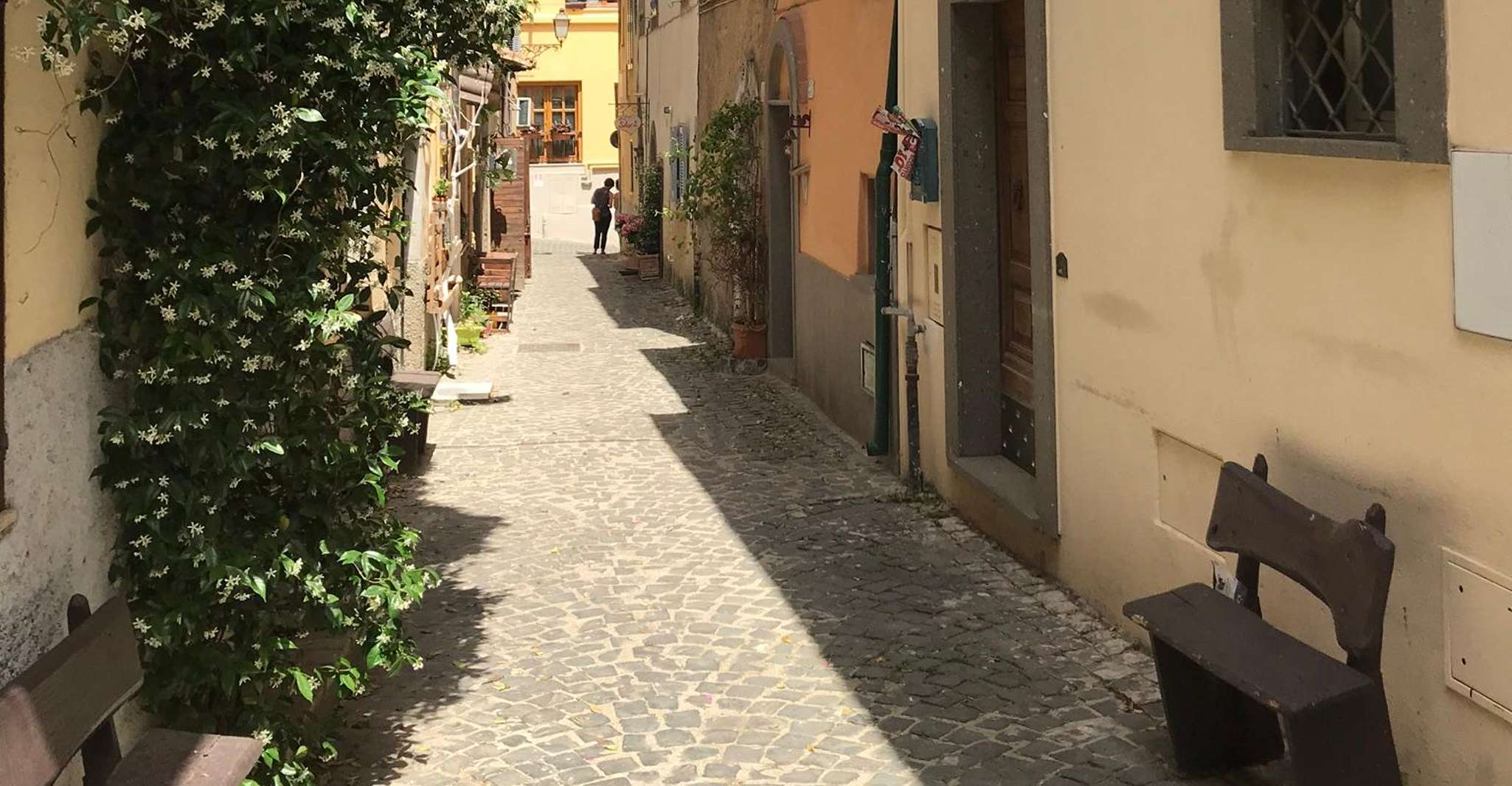 Rome, Trastevere Guided Food and Wine Tour with 20+ Tastings - Hizvo