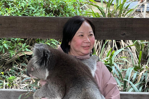 Von Adelaide aus: Kuscheln mit einem Koala und historische Hahndorf-Tour