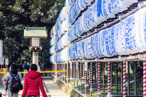 Tokio in 4 Stunden (Meiji Jingu, Harajuku, Shibuya, Shijuku)