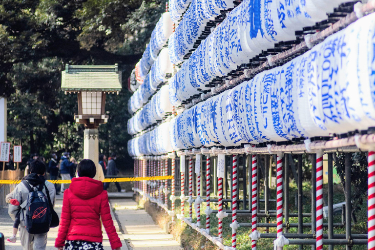 Tokio in 4 Stunden (Meiji Jingu, Harajuku, Shibuya, Shijuku)