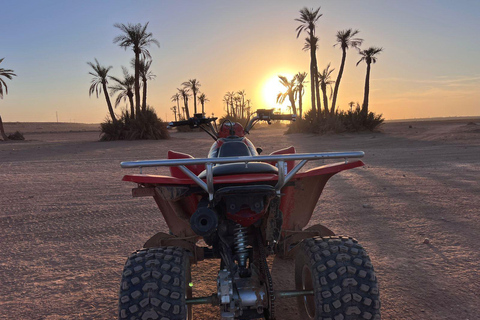 Marrakech: Combo Quad &amp; Camel in the jbilat desert1/2 day of quad and dromedary in the jbilat desert