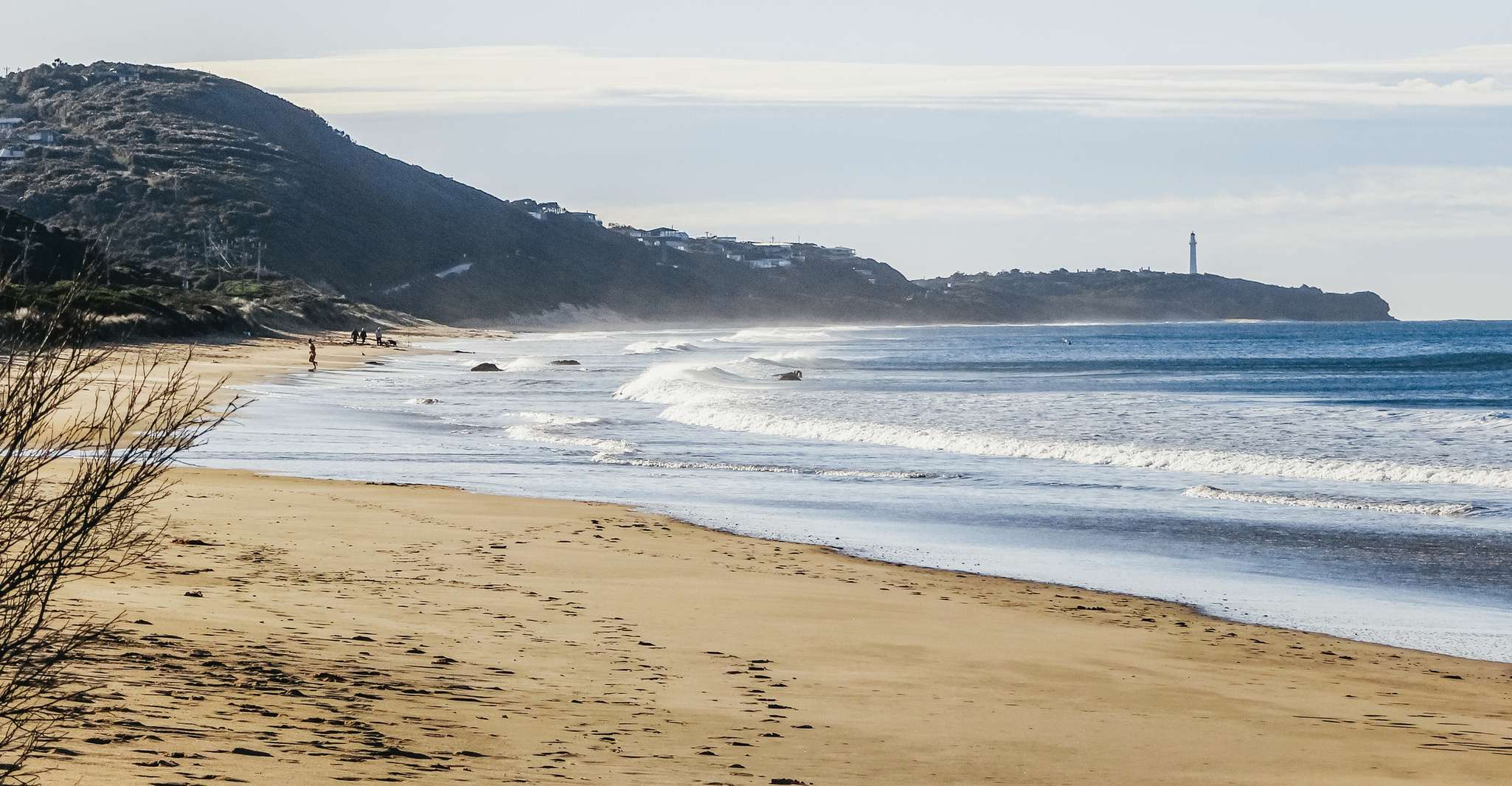 From Melbourne: Great Ocean Road, 12 Apostles, Wildlife Tour photo 5