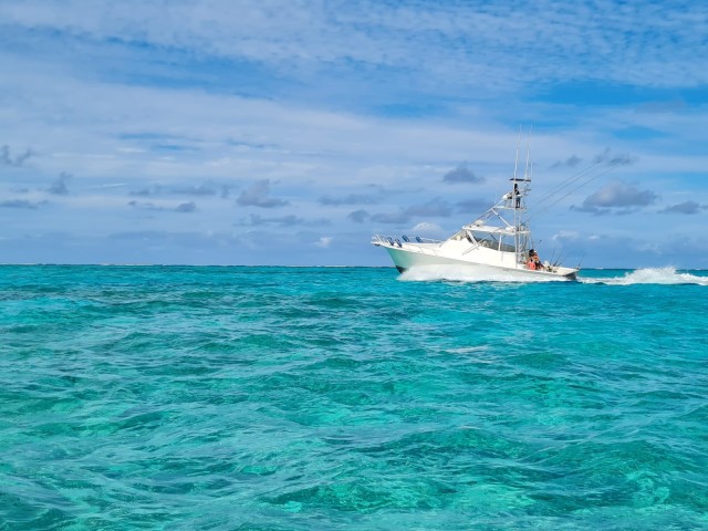 Visit Turks & Caicos Deep Sea Fishing Morning, Angler Management in Grace Bay