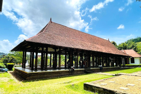 Colombo: Kandy Day Trip with Tooth Temple, Tea Factory Visit