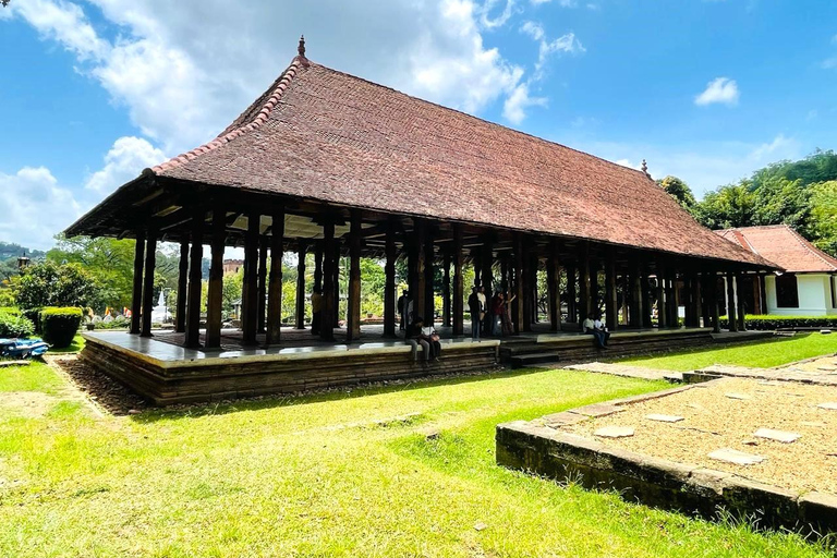 Colombo: Kandy Day Trip with Tooth Temple, Tea Factory Visit