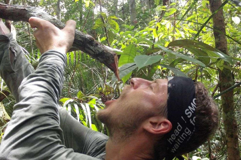 Sobrevivência na Selva