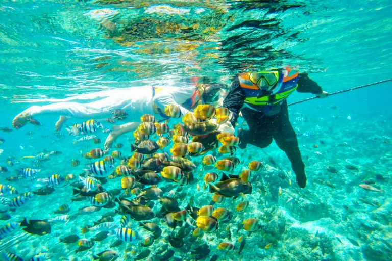 Lombok: Private Snorkeling,Gili Trawangan,Gili Meno,Gili Air Start From: Tetebatu/Lembar Port/Gili Mas Port