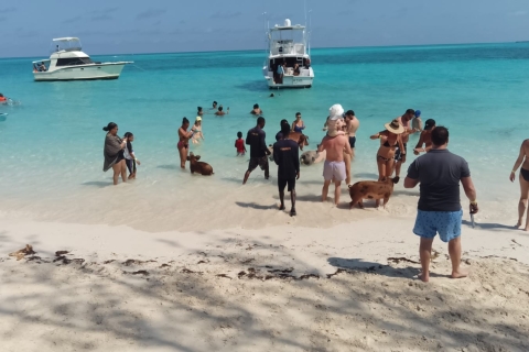 Nassau : Excursion en bateau privé sur l'île Rose - jusqu'à 10 personnesNassau : Rose Island - Location d'un bateau privé pour une demi-journée