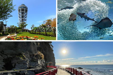 From Tokyo : Kamakura & Enoshima Island Private Day Trip