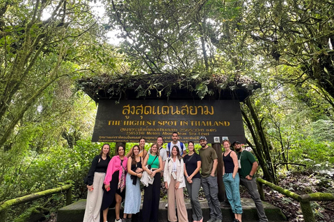 Chiang Mai : Parc national de Doi Inthanon et sanctuaire des éléphants