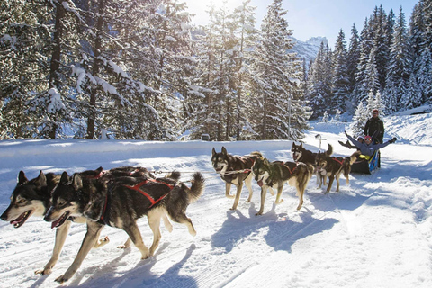 Rovaniemi: Santa Claus Village + Husky &amp; Reindeer Sled Ride