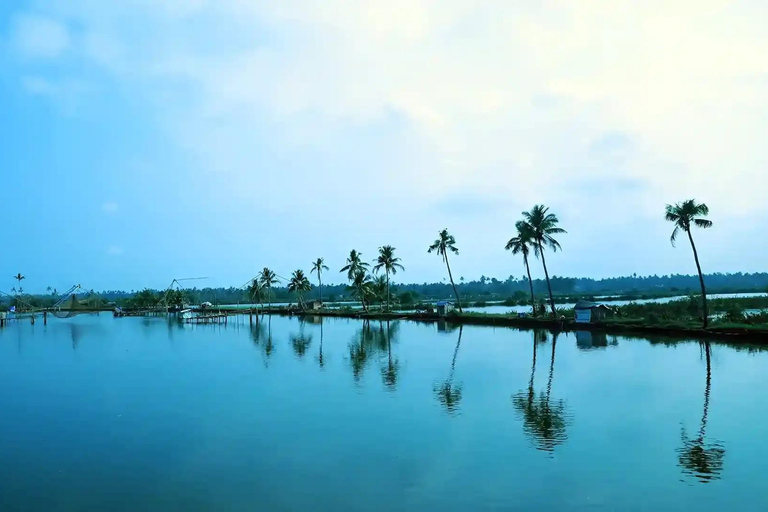 Kochi: Water Metro and Backwaters tour
