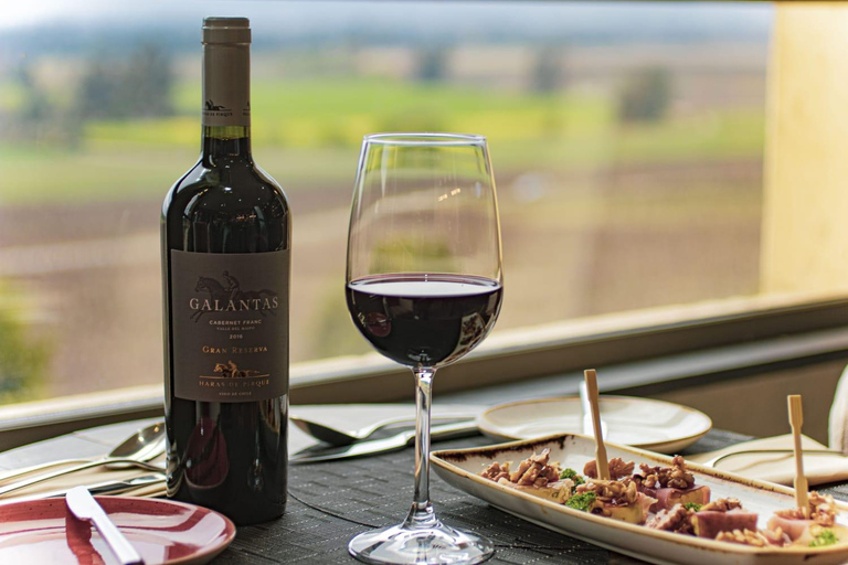 Viña Haras de Pirque Wine Experience