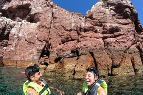 La Paz: Whale Shark, Sea Lions & Balandra Tour