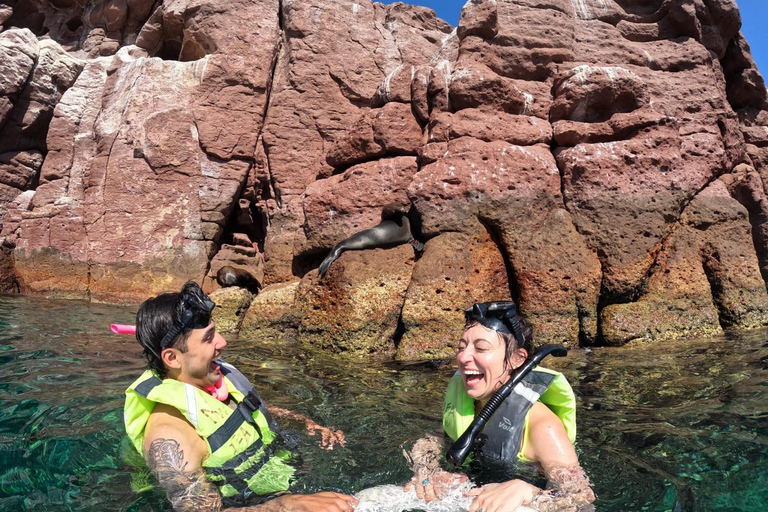 La Paz: Whale Shark, Sea Lions & Balandra Tour
