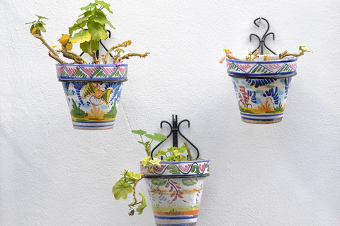 Desde Córdoba: Excursión privada de medio día a los Pueblos Blancos