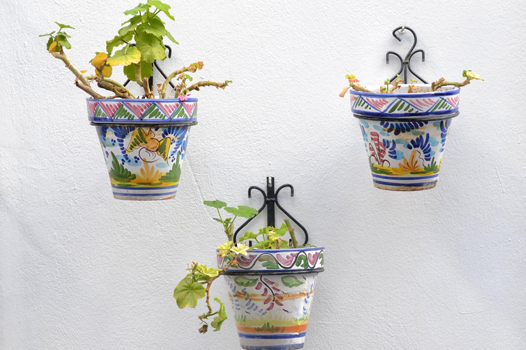 Desde Córdoba: Excursión privada de medio día a los Pueblos Blancos